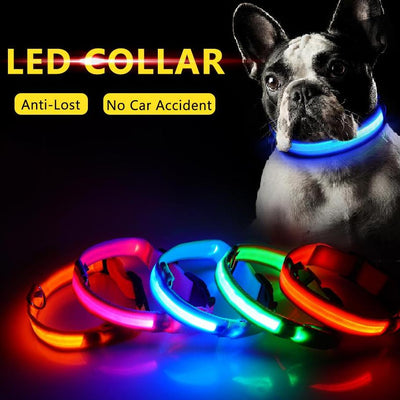 USB Charging LED Dog Collar Anti Lost